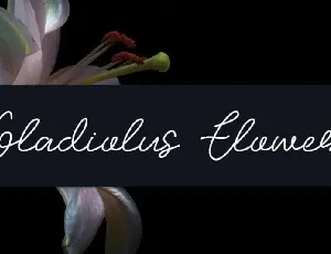 Gladiolus Flower Handwritten font