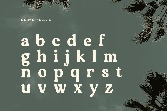 SS Quinnie font