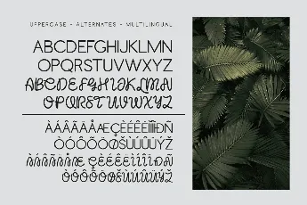 Freak Mailer DEMO font