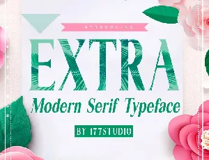 Extra Modern Serif Family font