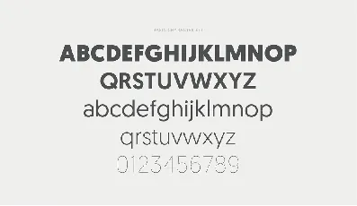 Geomanist Family font