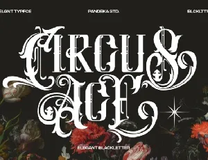 Circus Age font