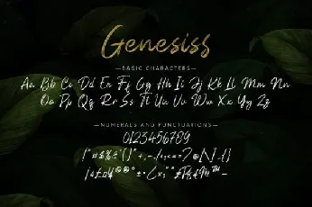 Genesiss Brush font