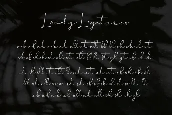 Castyla Modern Signature font