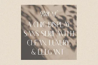 Classy Brune Sans Serif font