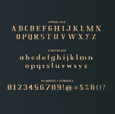 The North Shore Serif font