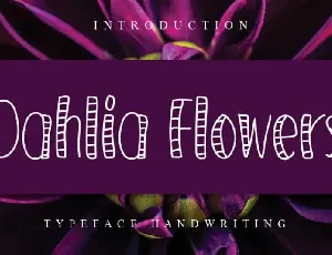 Dahlia Flowers Display font