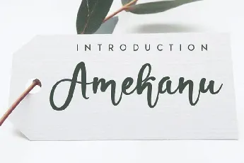 Amekanu Handwritten Script font