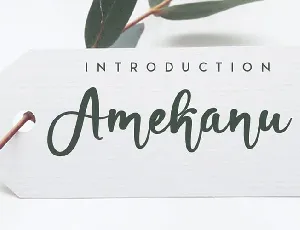 Amekanu Handwritten Script font