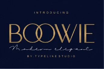 Boowie Sans Serif font