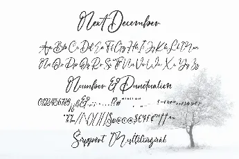 Next December font