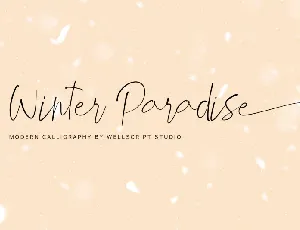 Winter Paradise Modern Script font