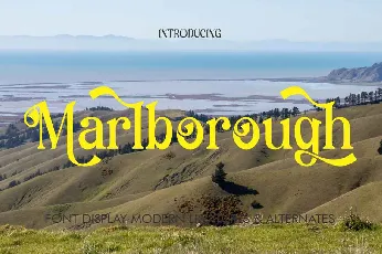 Marll Borough City font