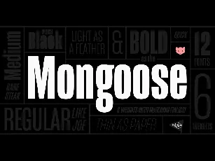 Mongoose Family font