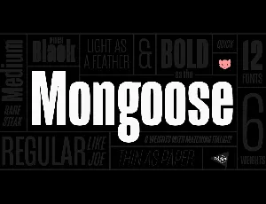 Mongoose Family font