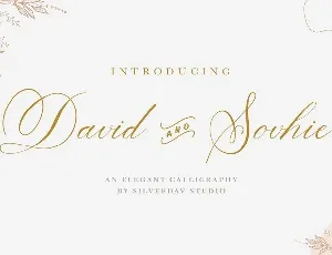 David And Sovhie Calligraphy font