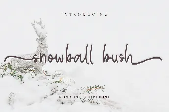 snowball bush font