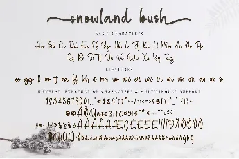 snowball bush font