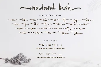 snowball bush font