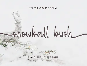 snowball bush font