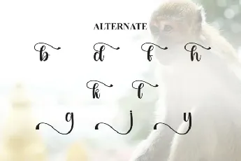 Monkey Script font