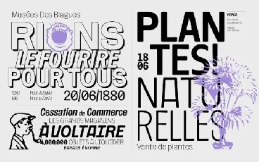 Routine Family font