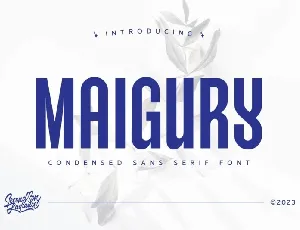 Maigury font