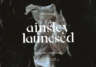 Ainsley Latinesed font