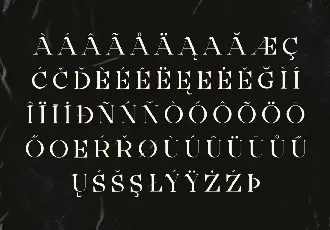 Ainsley Latinesed font