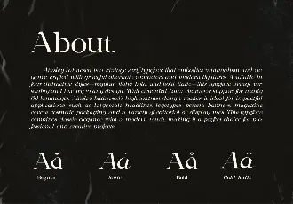 Ainsley Latinesed font