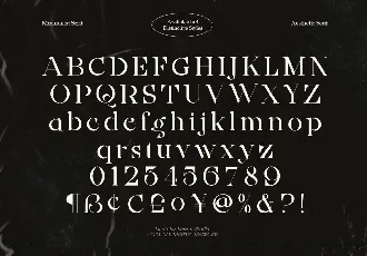 Ainsley Latinesed font