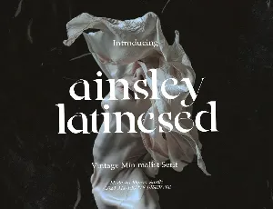 Ainsley Latinesed font