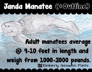 Janda Manatee font