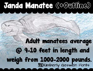 Janda Manatee font