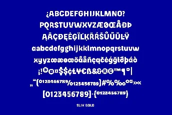 Slik font