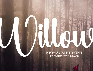 Willow Typeface font