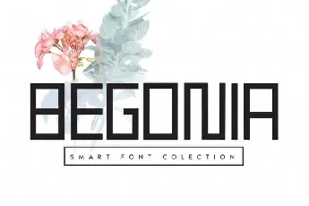 Begonia Display font