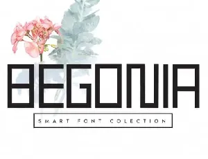 Begonia Display font