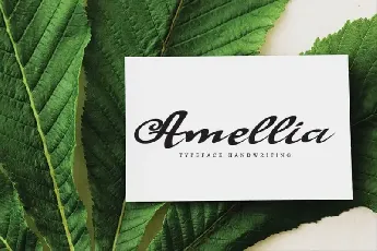 Bluebell Script font