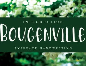 Bougenville Display font