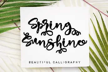 Spring Sunshine _ Personal Use font