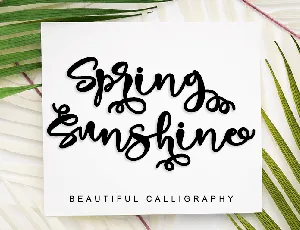 Spring Sunshine _ Personal Use font