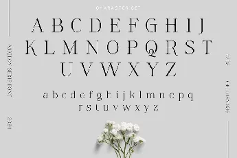 Askilon font