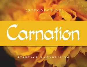 Carnation Flower font