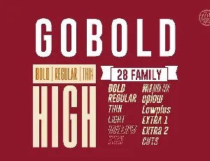 Gobold Sans Serif Family font