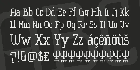 Sucesion Slab font