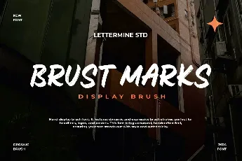 Brust Marks Demo font