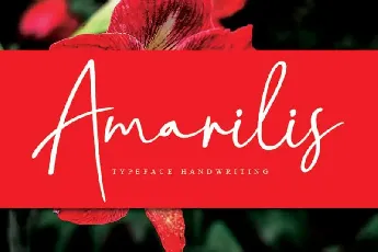 Amarilis Script font