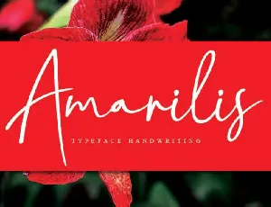 Amarilis Script font