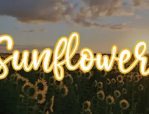 Sunflower Handwritten font